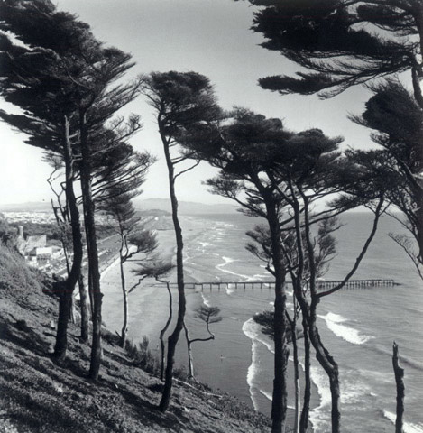 'Costa de San Francisco', 1955