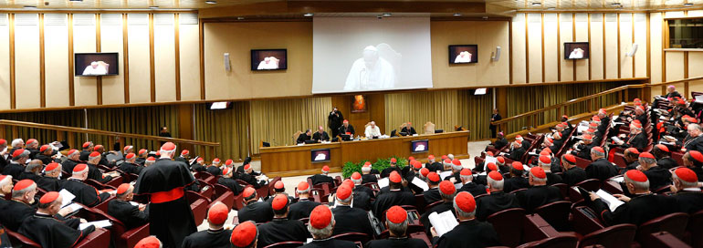 Consistorio de cardenales sobre la familia, el 20 de febrero de 2014