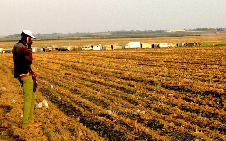 Los braceros pasan todo el día trabajando en los campos y de noche duermen en los barracones que rodean los cultivos