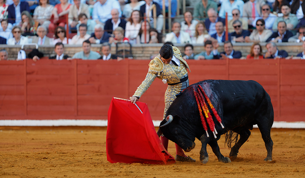 Corrida de toros en Córdoba el pasado 19 de mayo