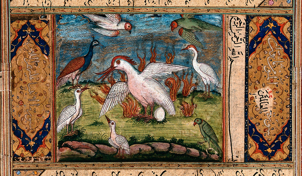 'La conferencia de los pájaros'. Pintura gouache de un artista persa