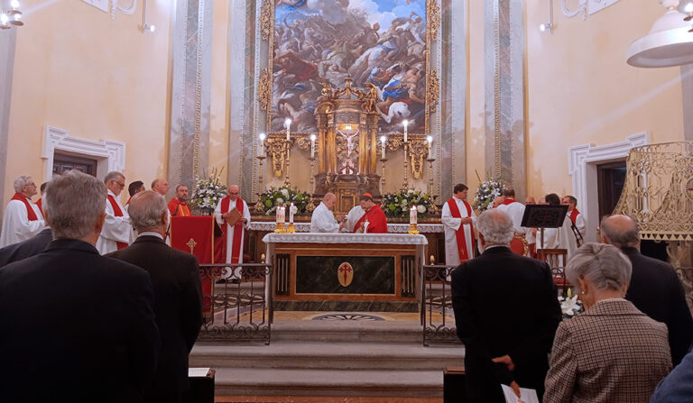 El cardenal durante la Misa