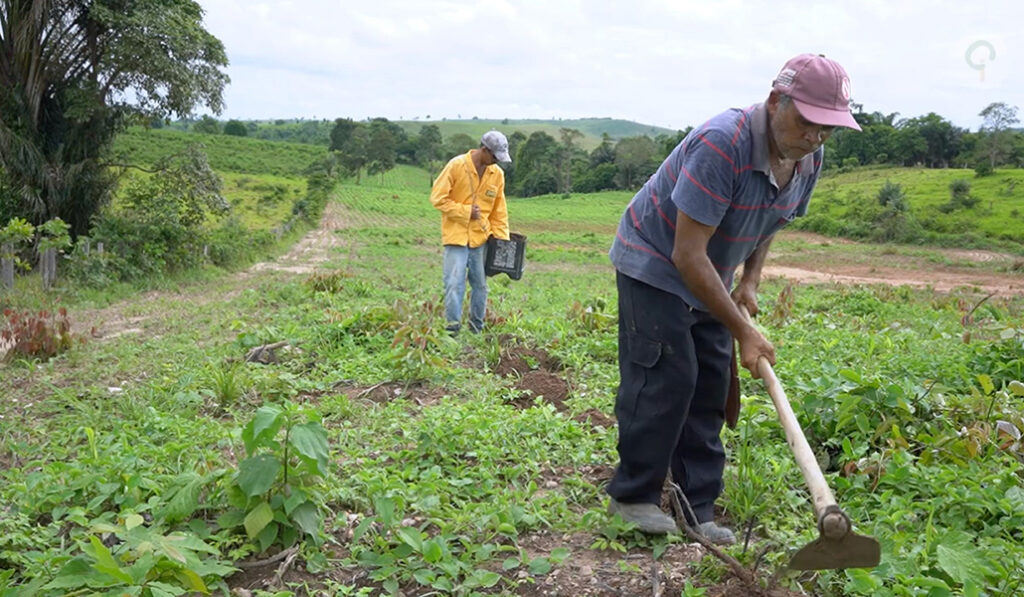 Los jóvenes se familiarizan con formas de producir cultivos agroecológicos con apoyo de Manos Unidas