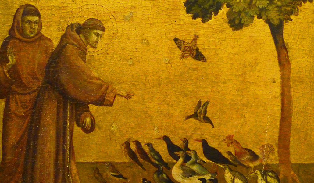 'San Francisco y los pájaros', de Giotto di Bondone. Foto: Steven Zucker.