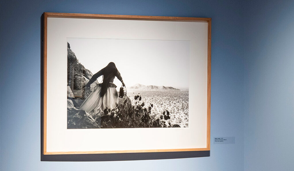 'Mujer ángel'. Desierto de Sonora (México)