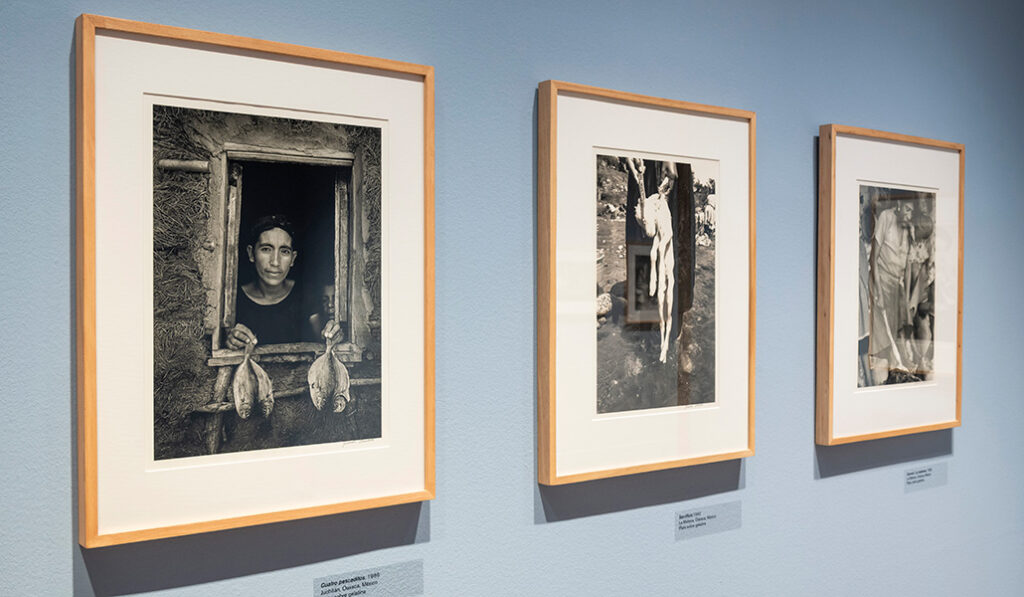 Vista de varias fotografías en la muestra