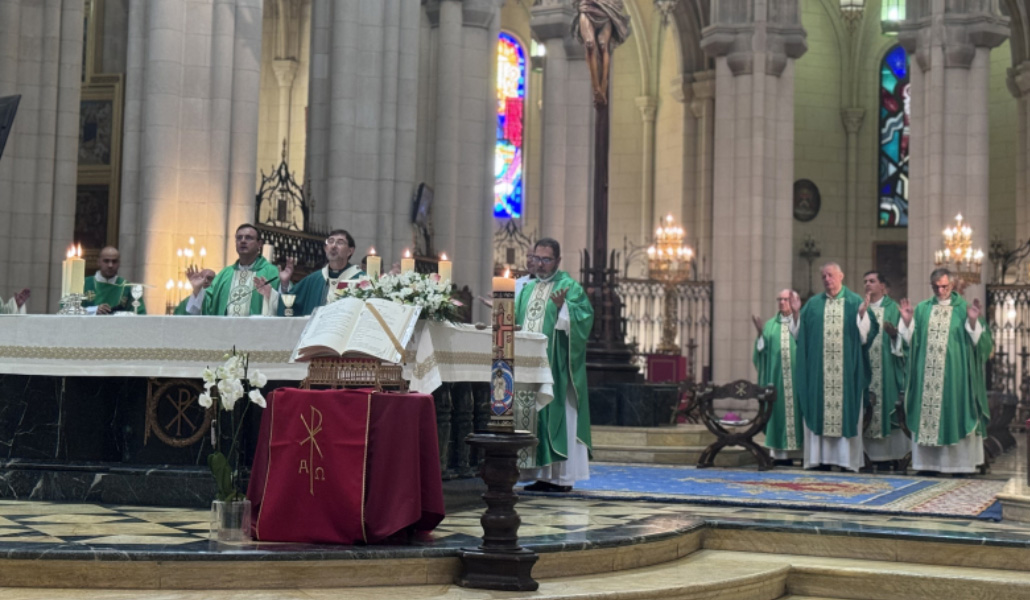 El purpurado durante la celebración