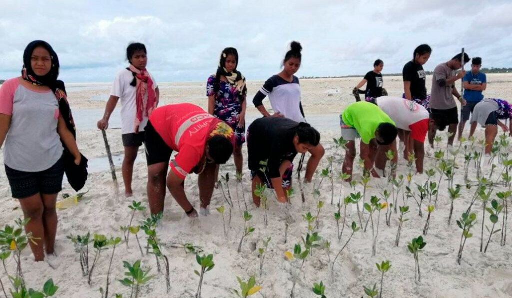 Jóvenes católicos de Kiribati plantan mangles en la costa para frenar el impacto del mar.