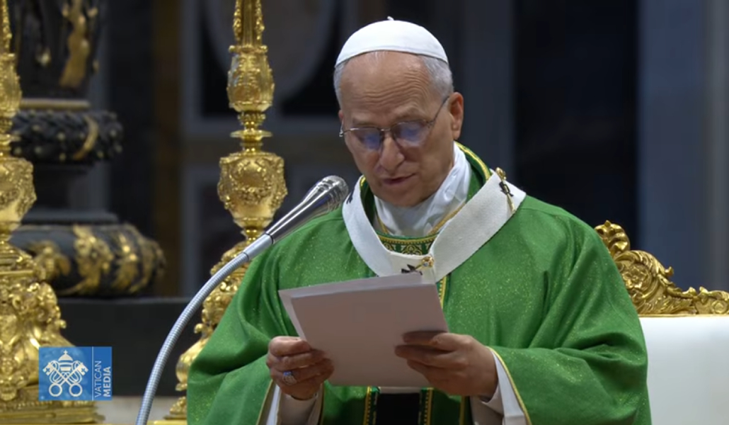 El Papa durante la homilía