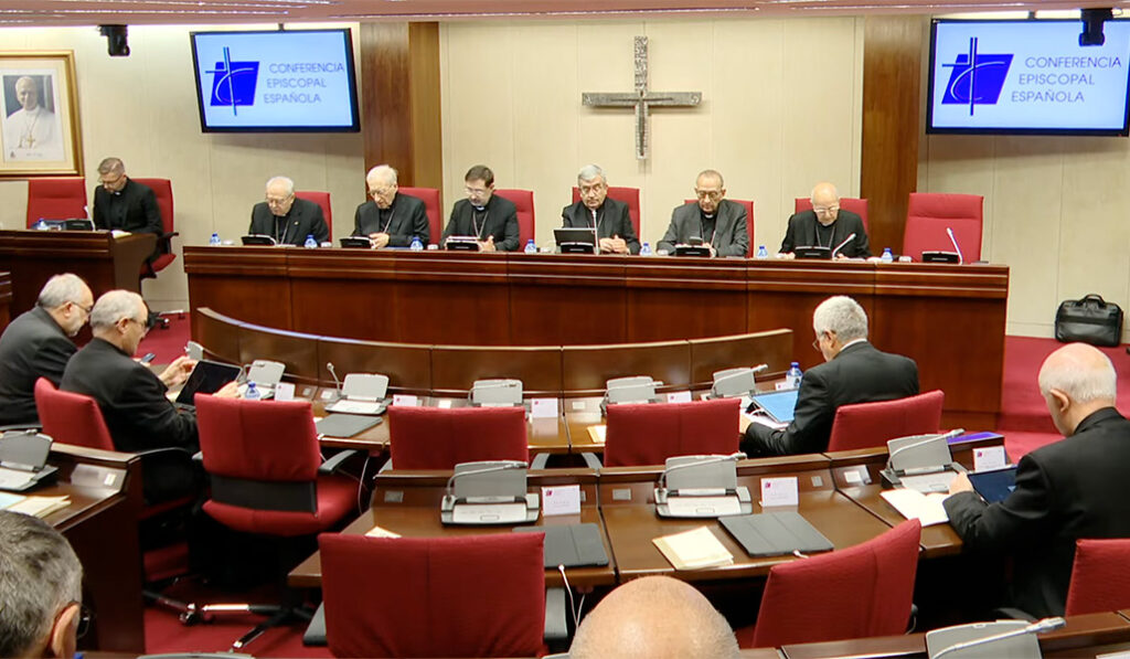 Un momento de la Asamblea Plenaria de la CEE.