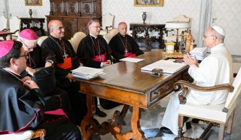 El Comité Permanente de los obispos chilenos estuvo con León XIV pocas semanas antes de las elecciones.
