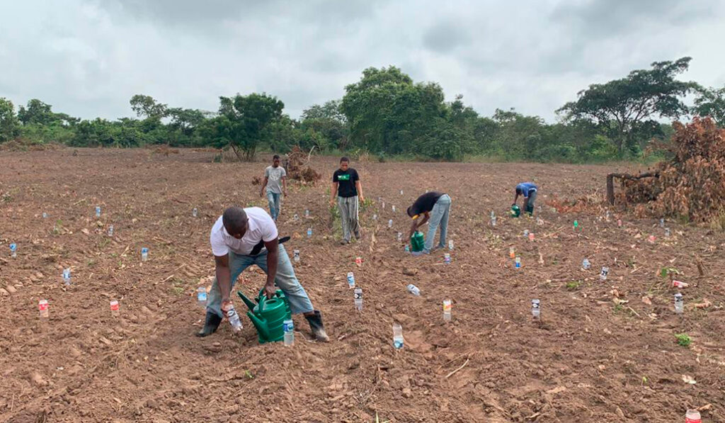 Jóvenes en Nigeria ponen en práctica la agricultura regenerativa.