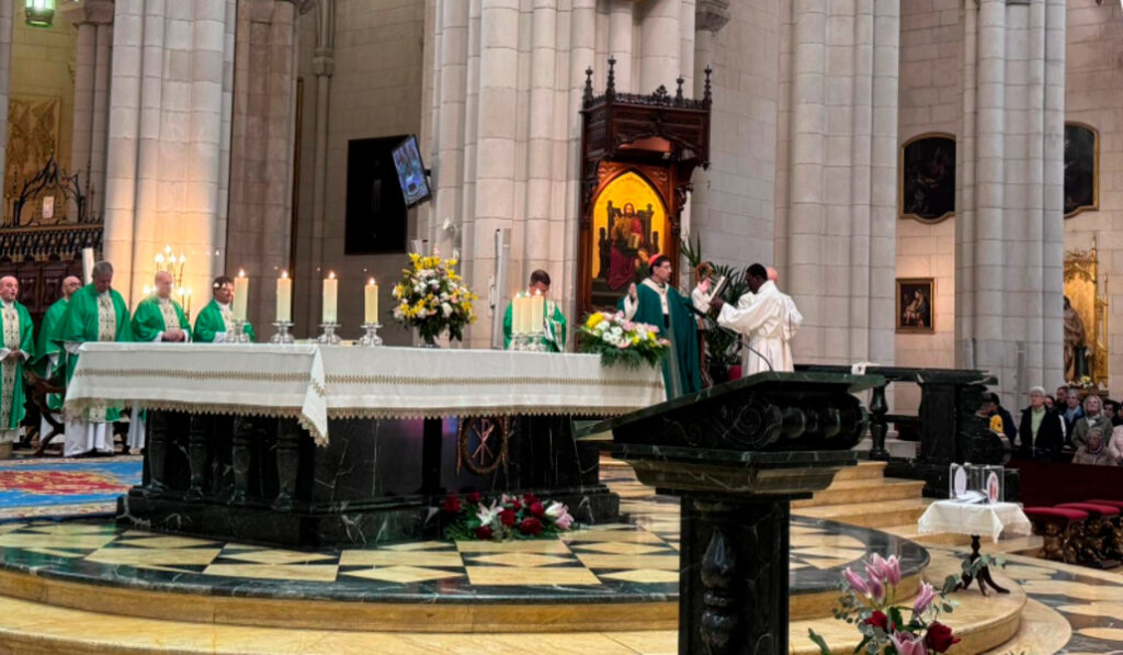 El cardenal Cobo durante la Misa por el Jubileo de los Pobres en la catedral.
