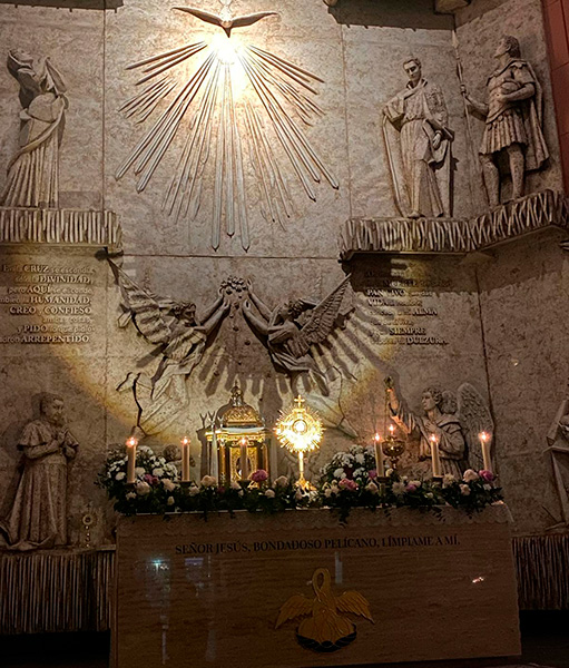 La Eucaristía es el centro de toda la pastoral.