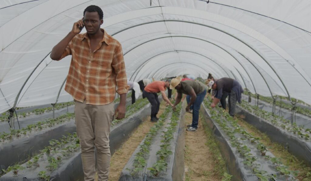 Fotograma de 'Te protegerán mis alas'