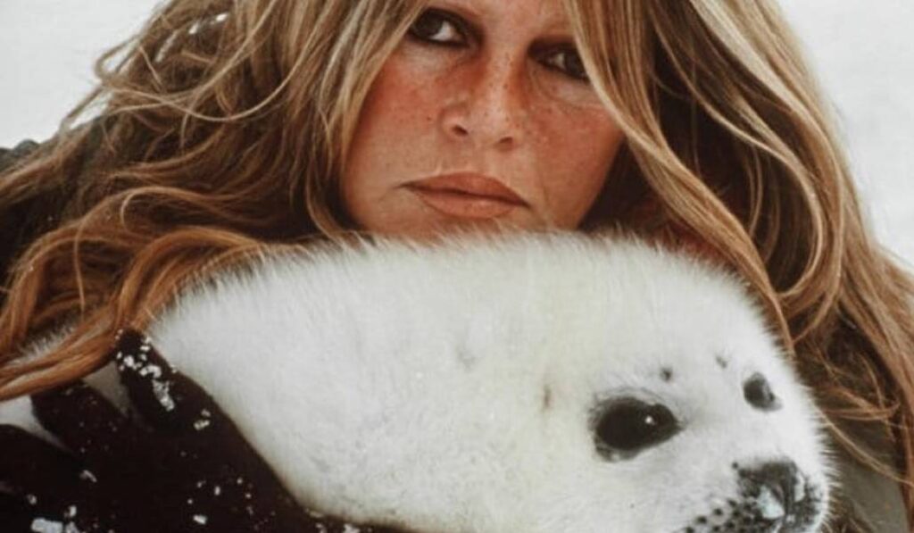 Durante muchos años se dedicó a defender los derechos de los animales. Foto: Fundación Brigitte Bardot. 