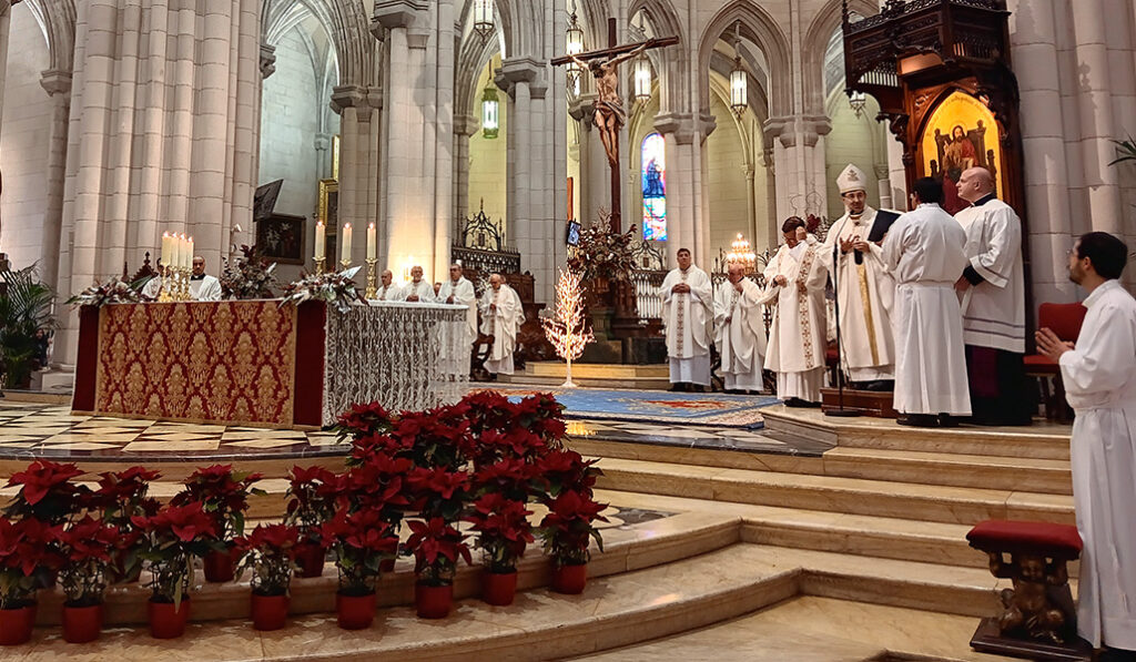El cardenal en un momento de la celebración eucarística.