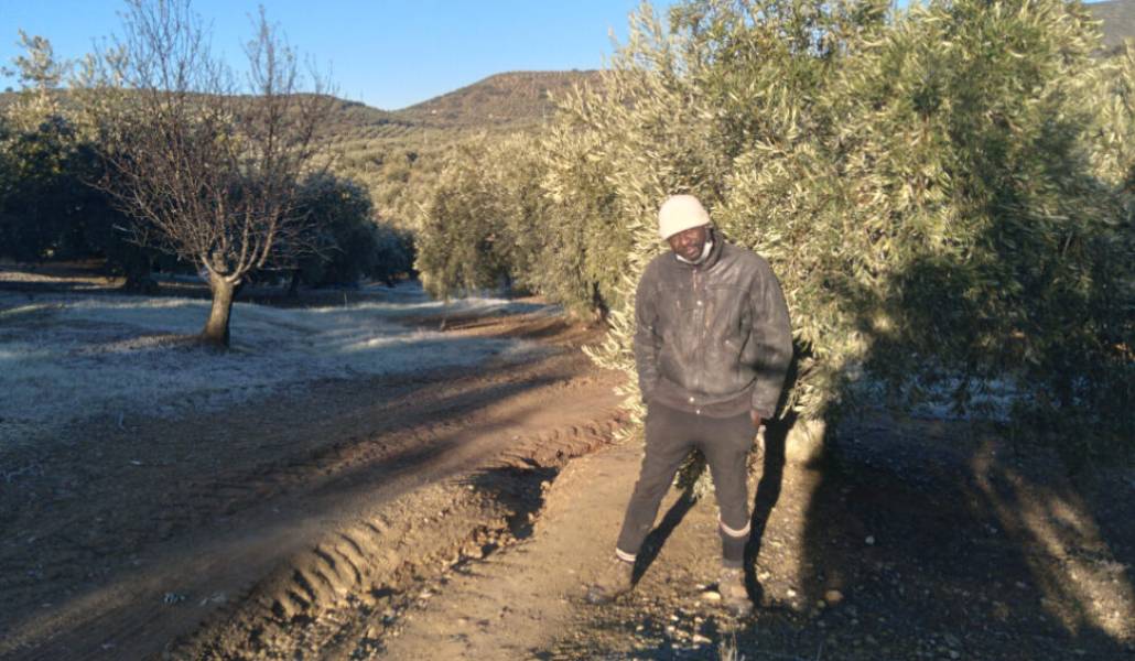 Sidy Diao en el campo donde se busca la vida. Foto cedida.