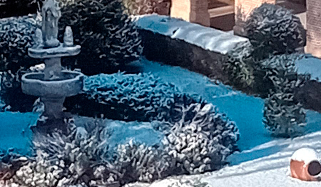 El jardín de las clarisas de Alcalá de Henares cubierto de nieve.