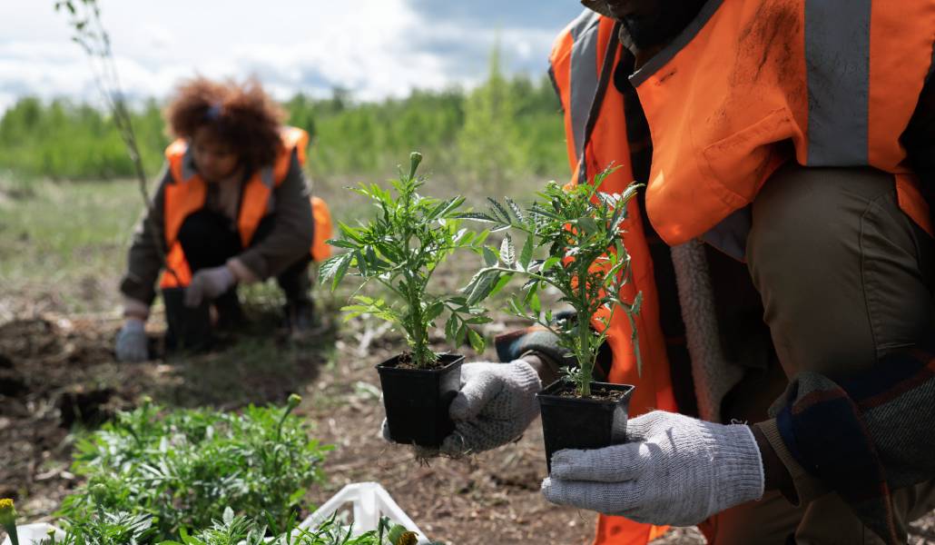 La población extranjera residente es hoy «un componente estructural ineludible del mercado laboral español». Foto: Freepik.