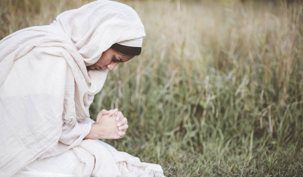 «Como nosotros, ellos también anhelaban silencio», dice Graig. Foto: Freepik.