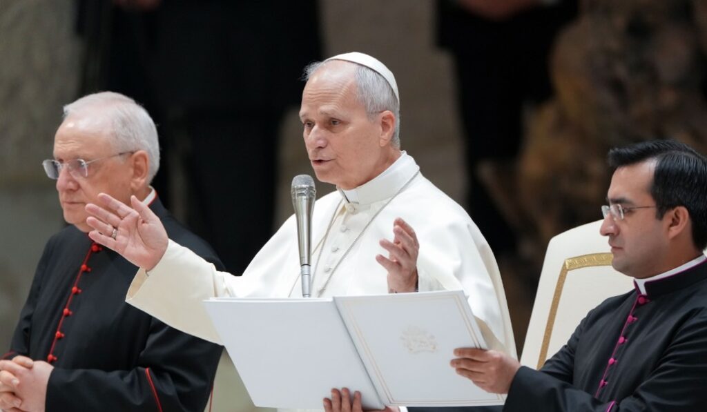 El Papa norteamericano durante la audiencia general del 11 de febrero. Foto: CNS.
