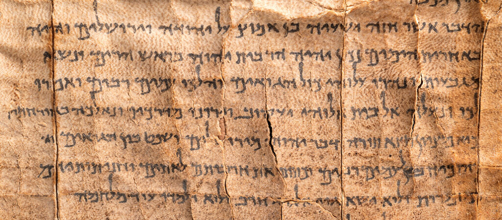 Fragmento de una de las 17 hojas de pergamino que componen este importante manuscrito.