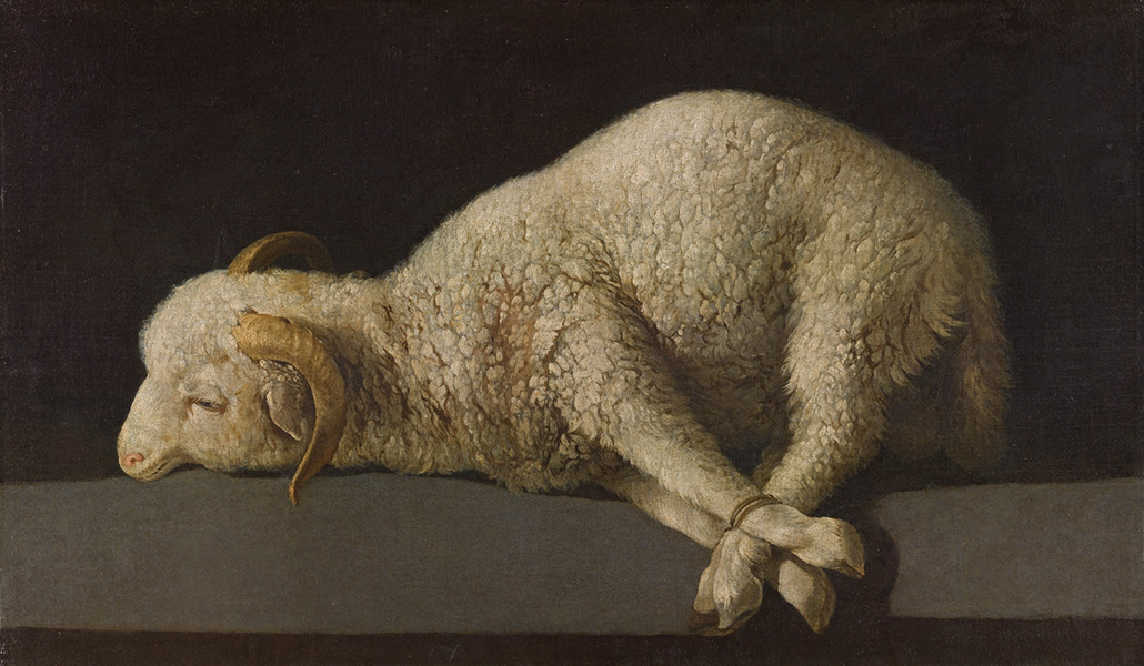 'Borreguillo', de Francisco de Zurbarán. Museo del Prado.