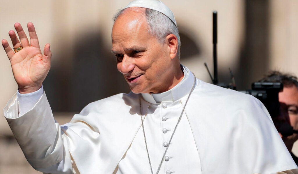 El Papa durante su última audiencia general.