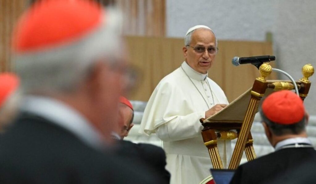 El Papa se dirige a los cardenales. Foto: Vatican Media.