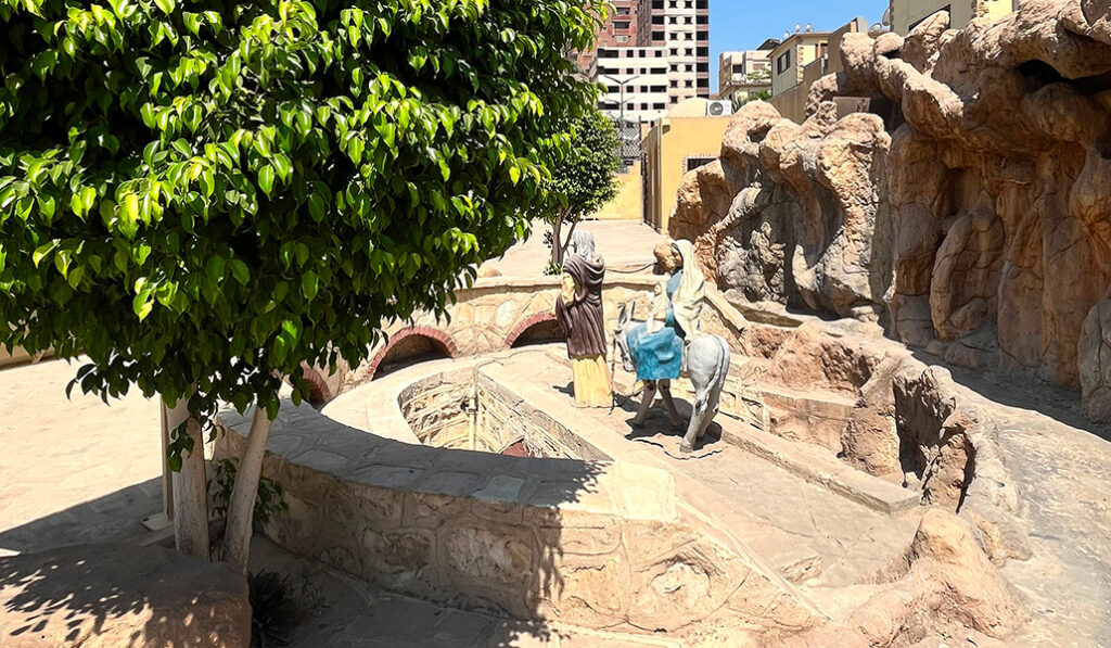 El árbol de María. Es un sicómoro y es descendiente directo del que dio sombra a la Sagrada Familia.