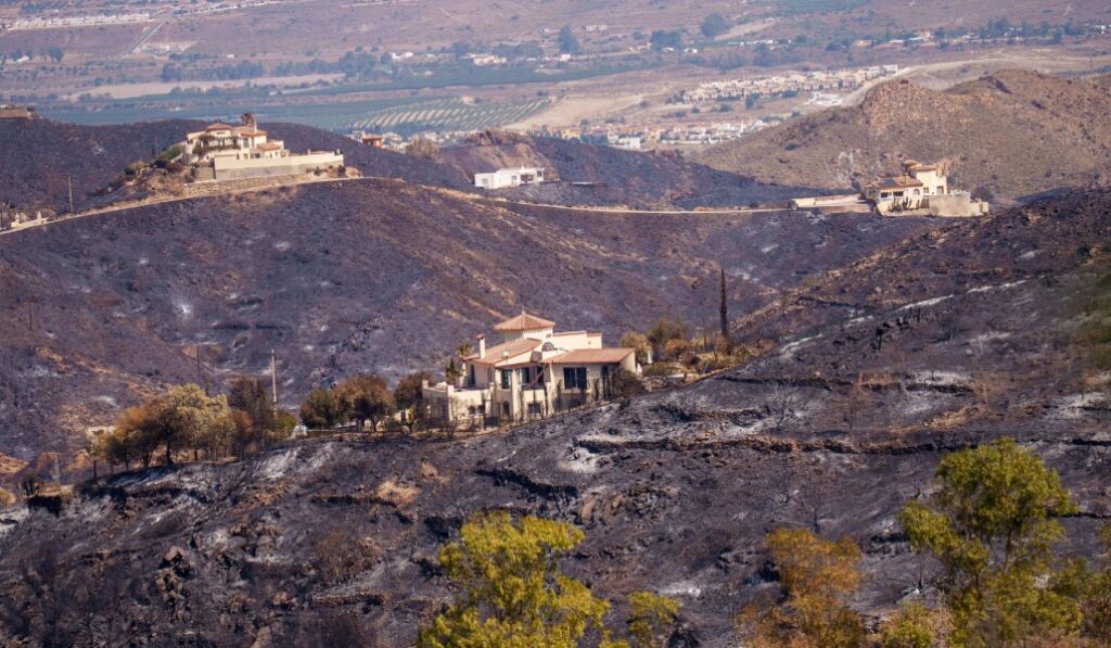 Imagen de la zona tras el paso de las llamas.