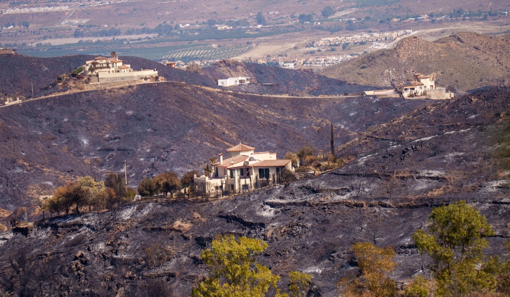 Imagen de la zona tras el paso de las llamas. Foto: Francisco J. Olmo / Europa Press.