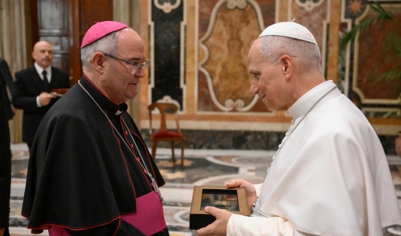 El arzobispo de Toledo, Francisco Cerro, ha acompañado al grupo. Foto: Vatican Media