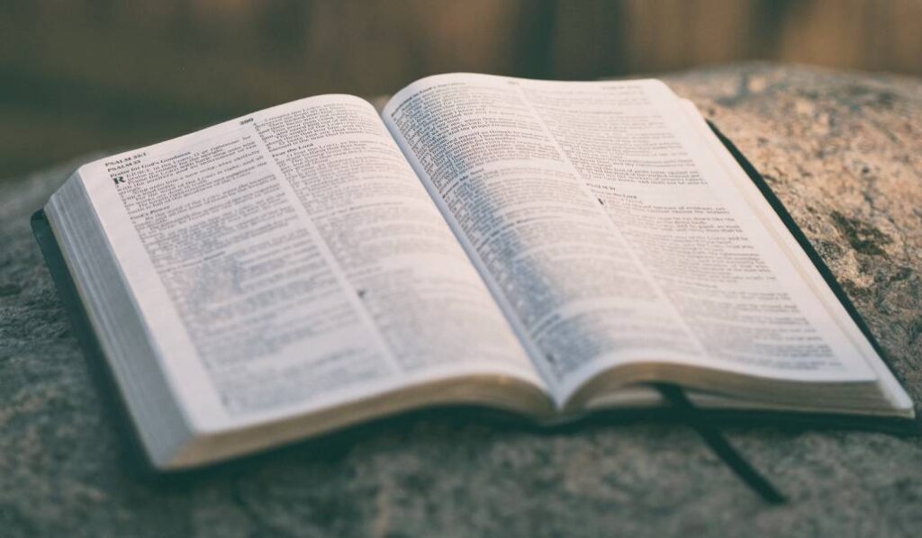 En la Escritura «Dios nos recuerda una y otra vez la necesidad de dar amor y cuidado a los otros». Foto: Aaron Burden.