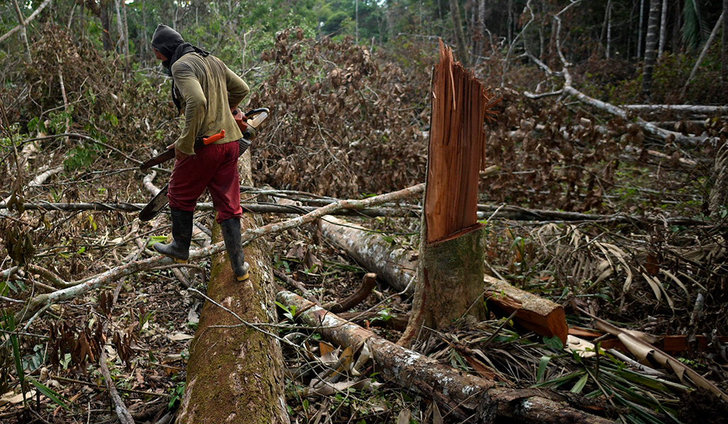 Un colombiano tala árboles para plantar coca en Guaviare.