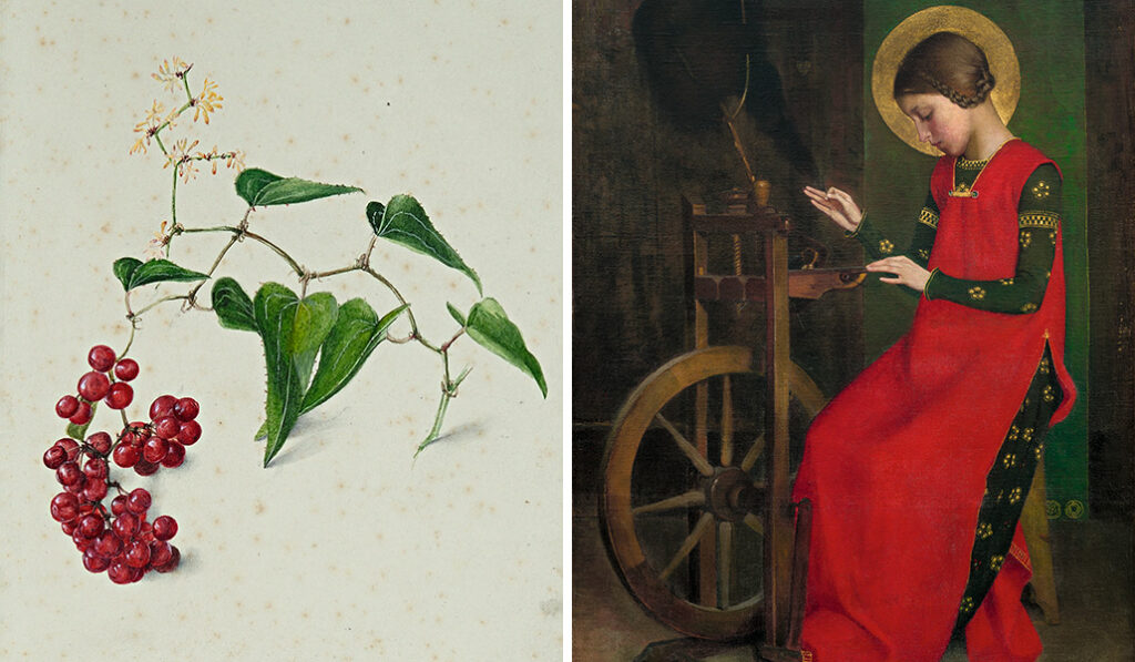 'Estudio de hojas y bayas'. Charlotte Murray. A la derecha: 'Santa Isabel de Hungría hilando lana para los pobres'. Marianne Stokes.
